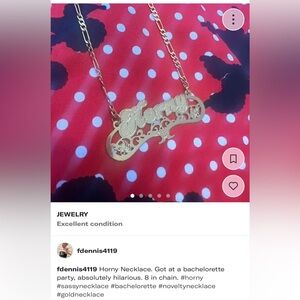 Retro Novelty “ horny “ necklace